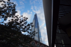The shard