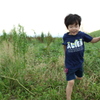 haru