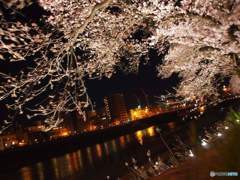 桜百景