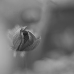 IMG_7290