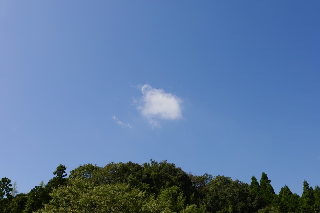 kumo