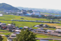 緑の中を！