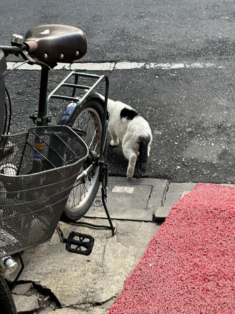 レッドカーペット