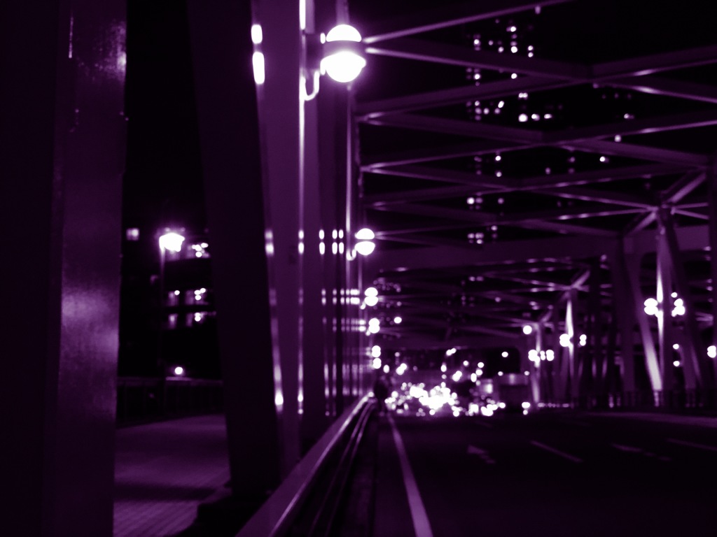 夜のバードケージ