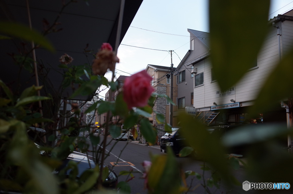 かくれんぼ