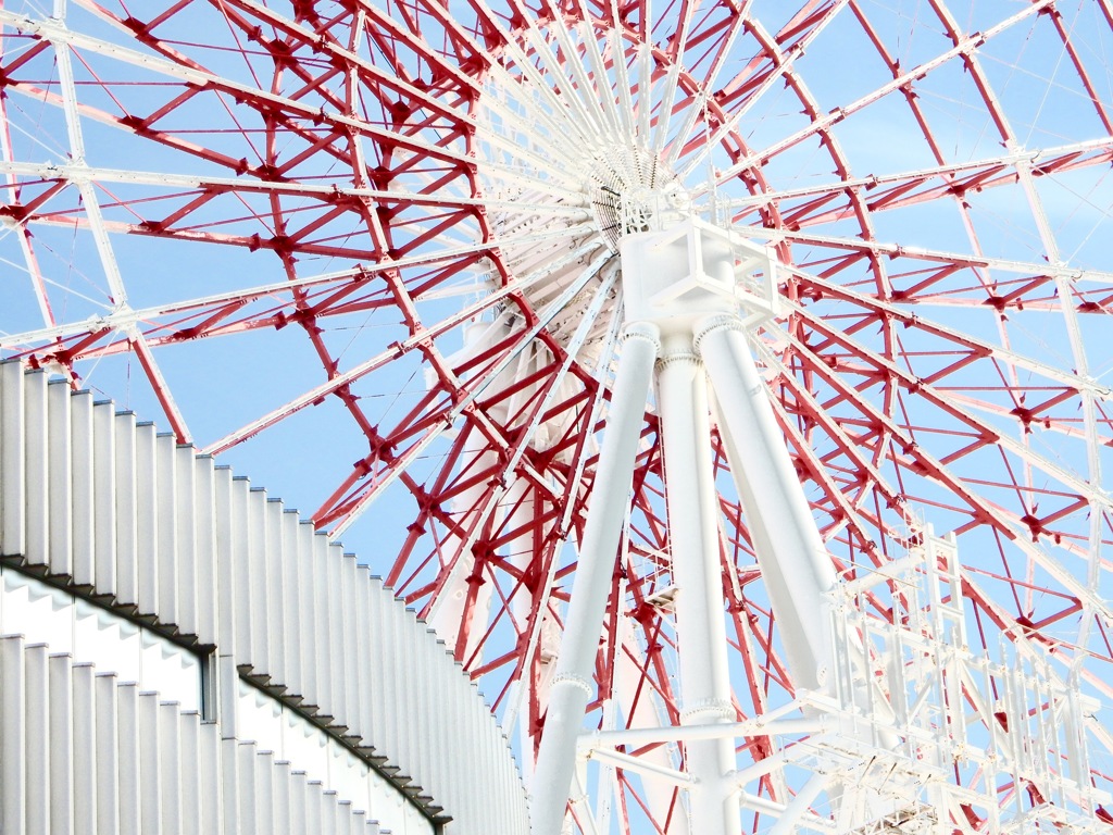 ひまわり