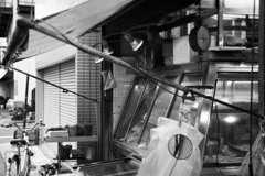 ガラス張冷蔵ケースの鮮魚