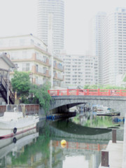堀割有情