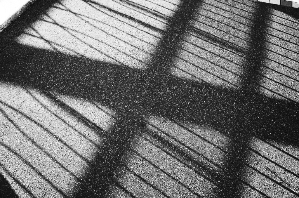 カーボン・メモリィズ