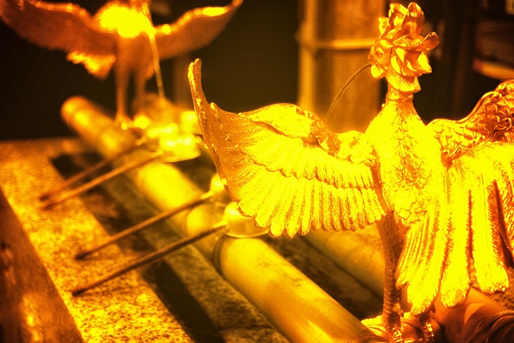 ｴﾙﾄﾞﾗﾄﾞ