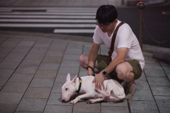 ナイトブリード