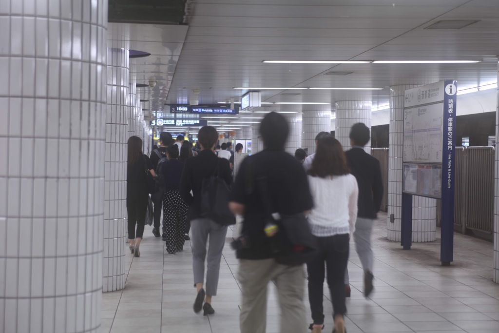 白いプロムナード