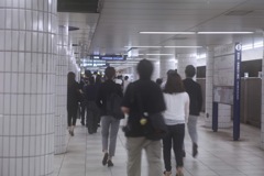 白いプロムナード