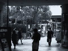 そして僕は途方に暮れる