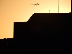 softly as in a morning sunrise