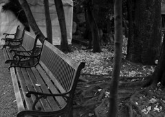 まどろみの時間