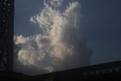 アグリッパ石膏胸像