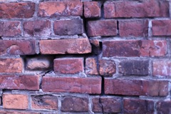 インディ・ジョーンズ