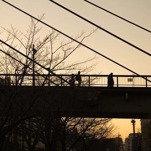 夕陽に架ける橋