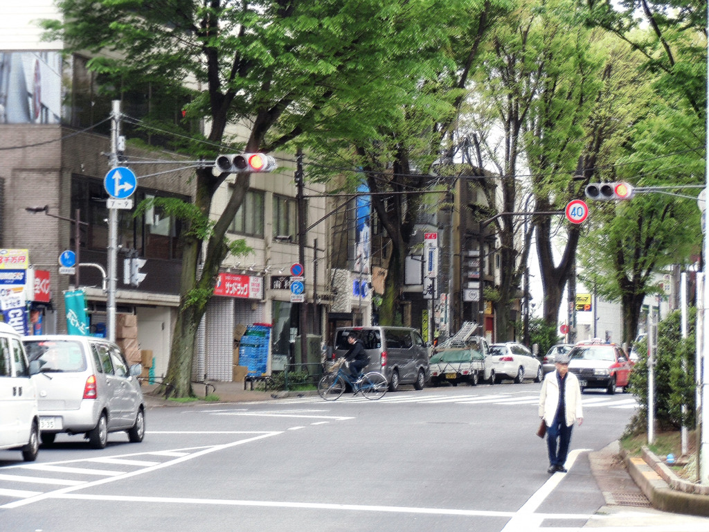 並木道