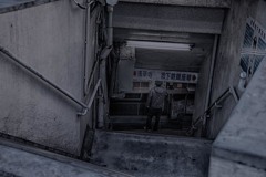 インディジョーンズ