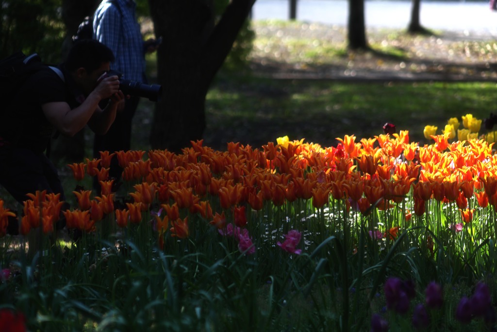 ヴォルールドゥフルール/2