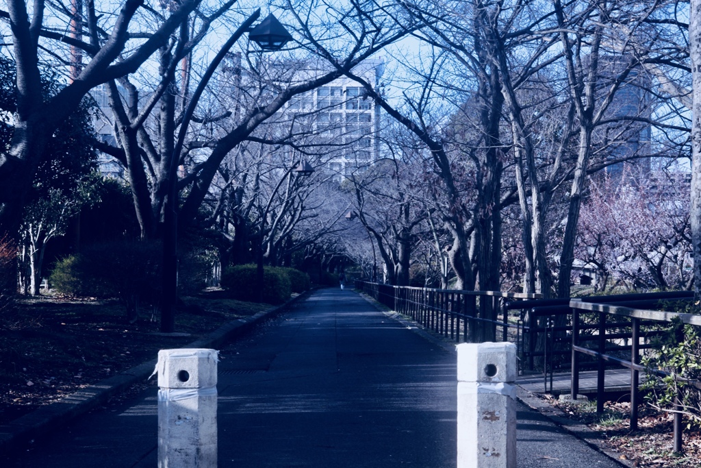 ホワイトマーク