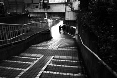 注文のおおい階段