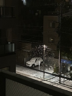 snow night