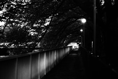 follow me