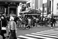 日曜日のゼブラ