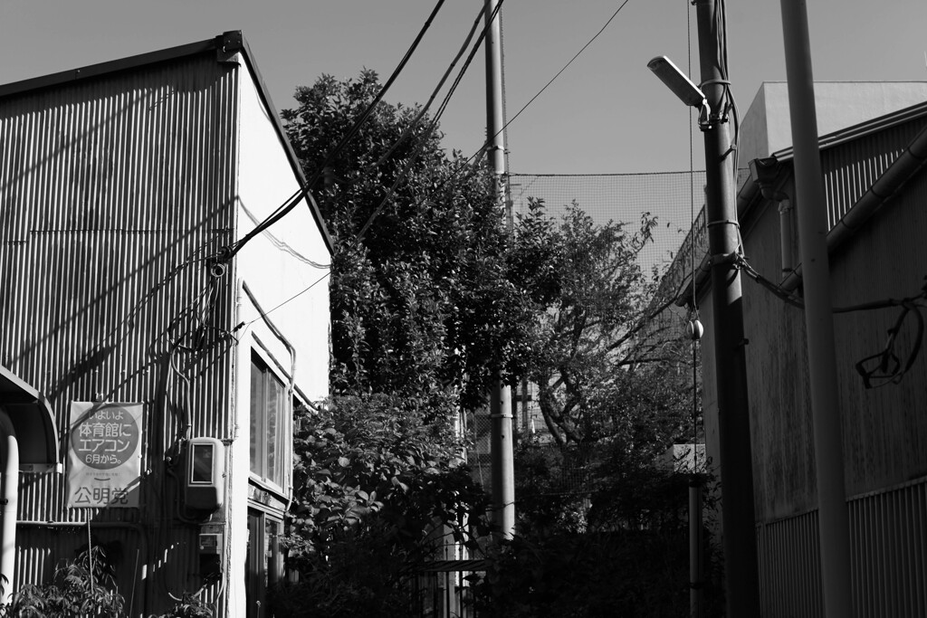 ヘルシンキ スタイル