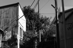 ヘルシンキ スタイル