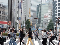 みんなで渡る横断歩道