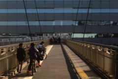 突き当りの橋