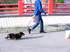 ストリート・オデッセイ-4