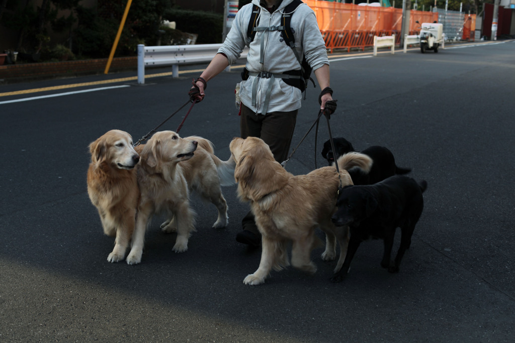 ベン・ハー