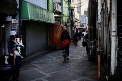 何気ない毎日が