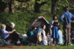 ゴッドファーザー