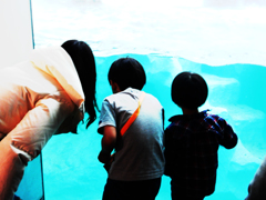 ｸﾞﾗﾝ･ﾌﾞﾙｰ