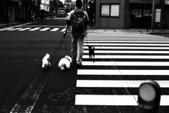 合わないコンパス