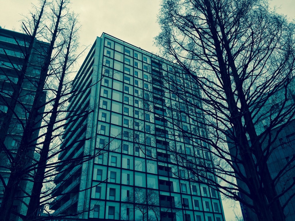 4月なのに・・・