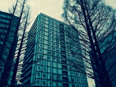 4月なのに・・・