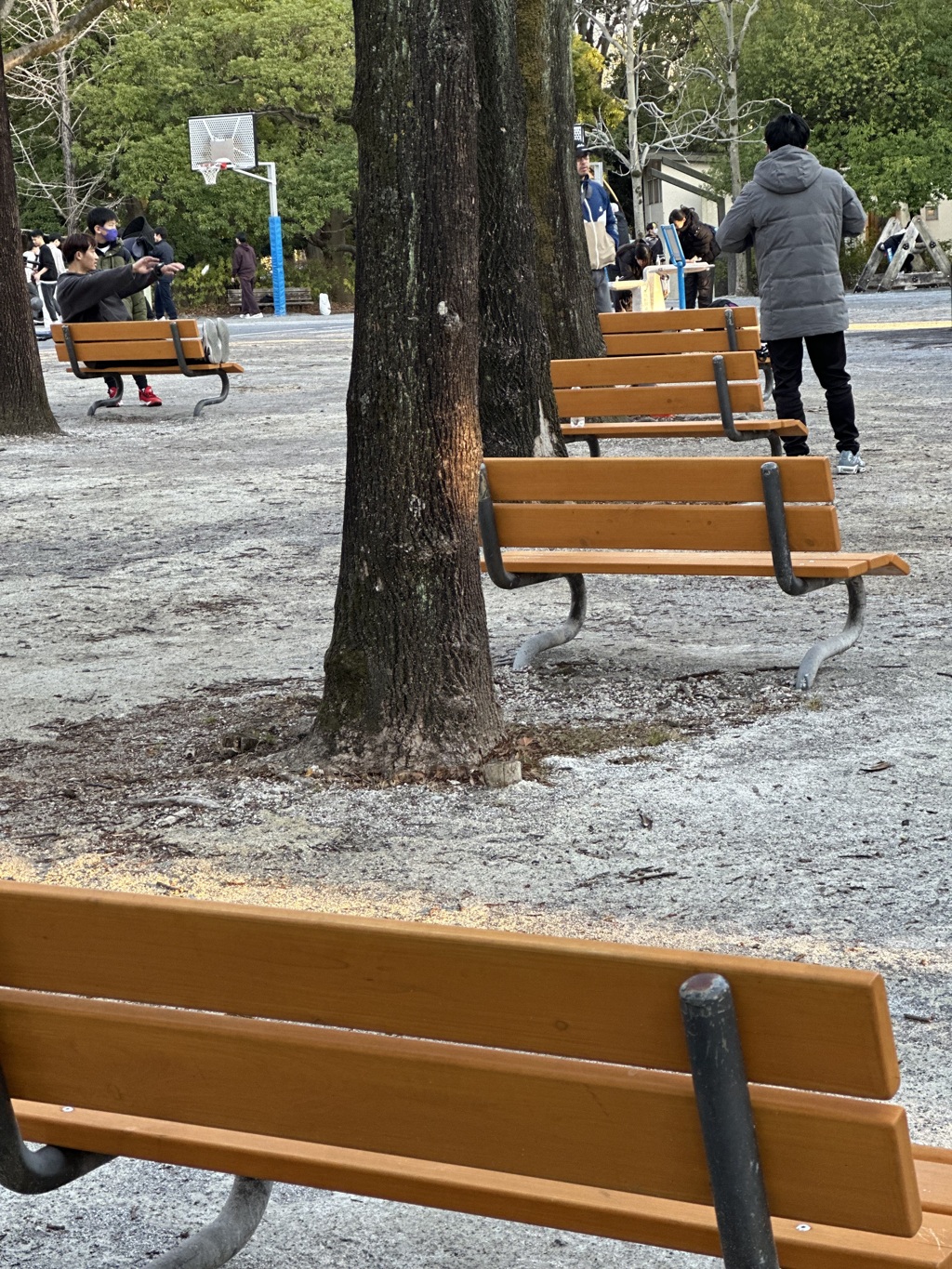 人待ち頃