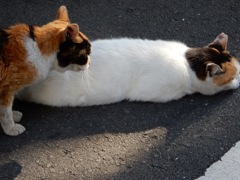 ねぇねぇ〜＾＾
