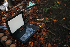 フィールドスキャン