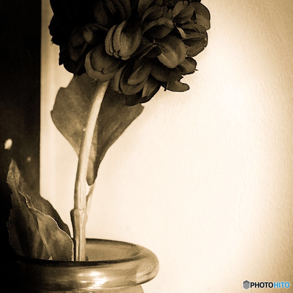 オキーフを探して