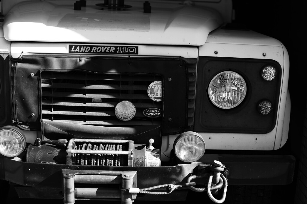 サファリの記憶