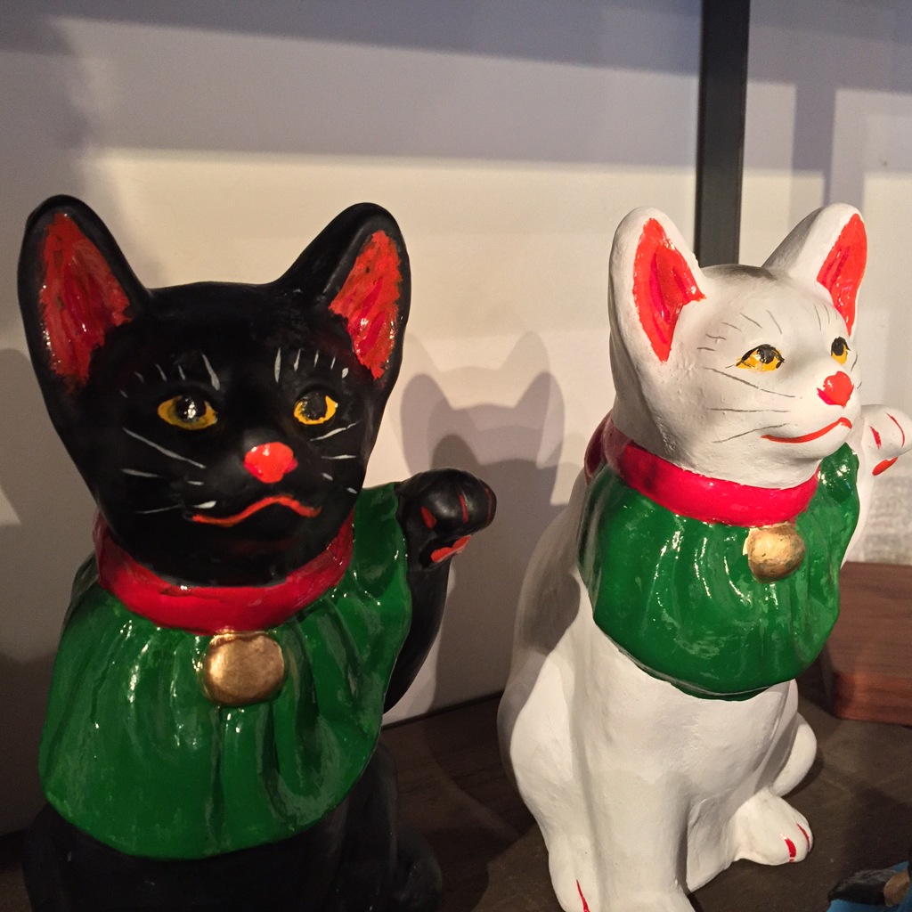 島根の美猫ちゃん