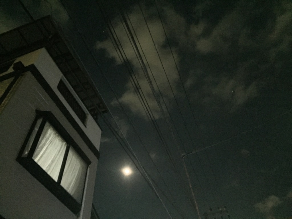 月はこっちに出てる